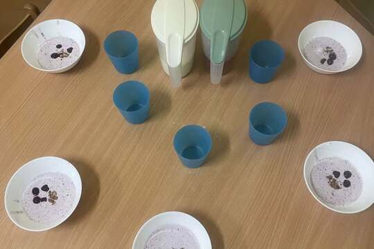 Velikonoční čas v BARVÁCH 1