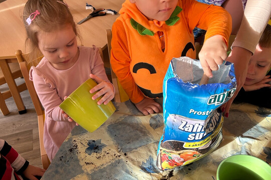 Péče o bylinky z hydroponické zahrádky Péče o bylinky z hydroponické zahrádky 1