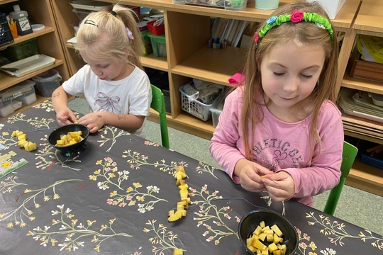 Bramborové radovánky 1