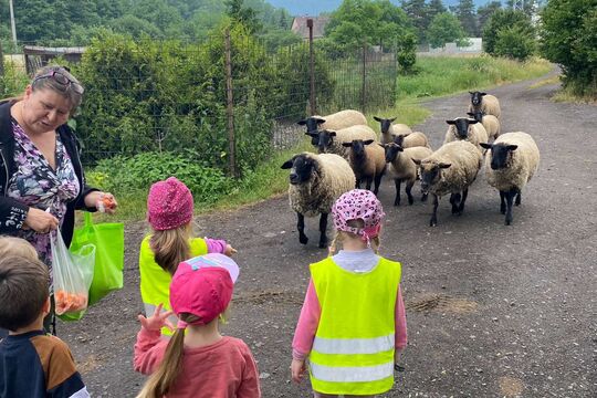 Medvídci z MŠ Soběchleby na ovčí farmě 1