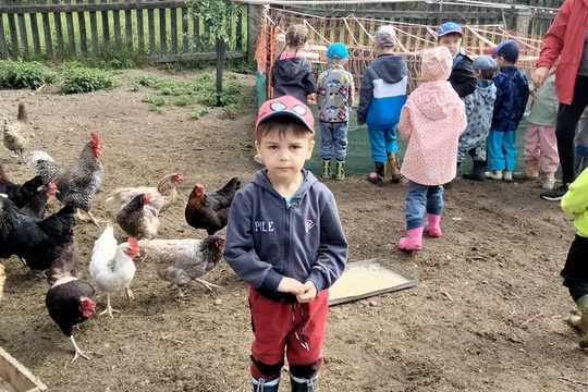 Výlet na farmu  1