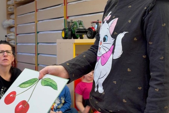 Ovoce a naše smysly  1