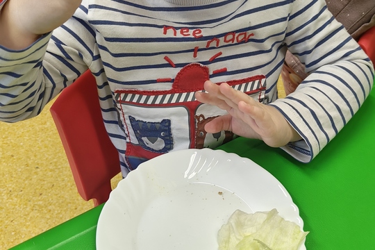 Bylinková radost v naší školce 1