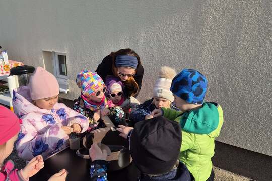 Zasaď dobro s kuřátkem  1