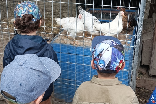 Farma s domácími zvířaty – Duběnka 1