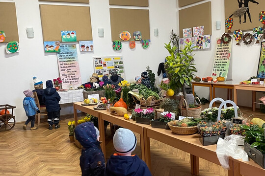 Výstava klubu zahrádkářů v Chlenech 2025 1