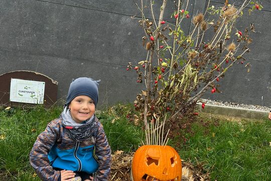 Podzimní slavnost - Jablka a řepa 1