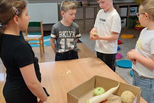 Pickles kvašená zelenina 1