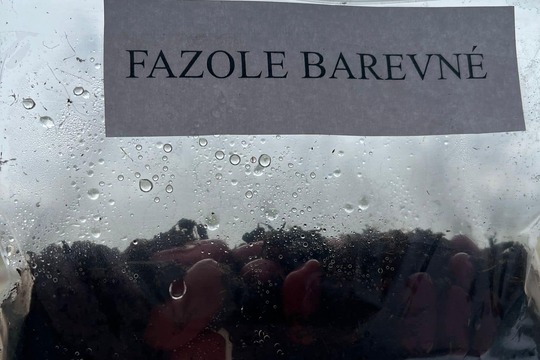 UČÍME SE PROŽITKEM aneb naše fazole 1