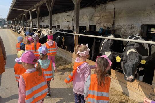 Návštěva na farmě Doubravský dvůr 1