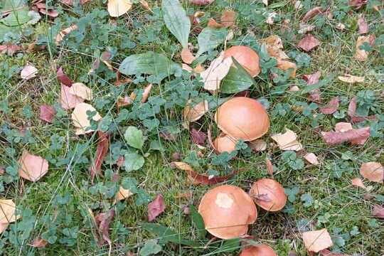 Svět kolem nás Svět kolem nás 1