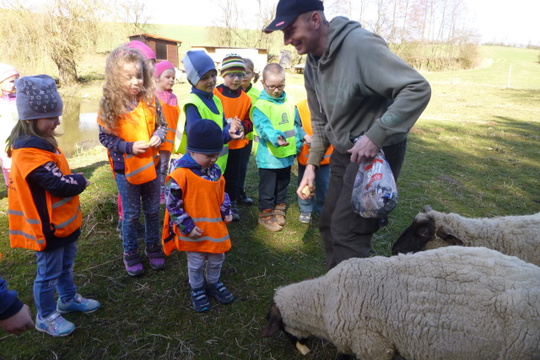Na návštěvě u oveček 1
