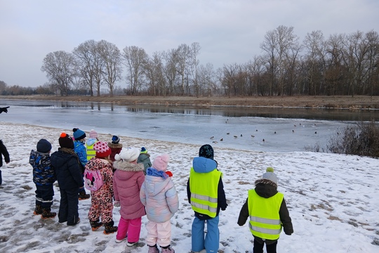 Myslíme na zvířata v zimě 1