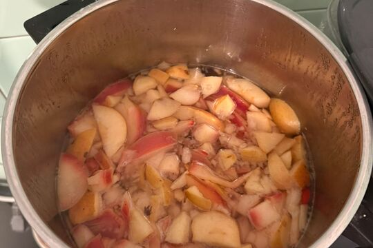 Děti vařily jablečno-šípkový čaj 1