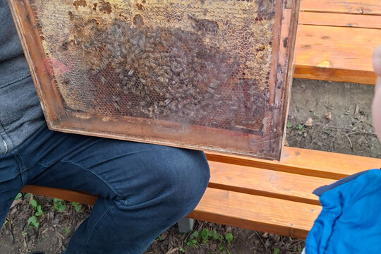 Včelař ve školce 1