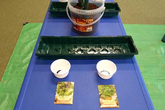 Staráme se o naši zahradu 1