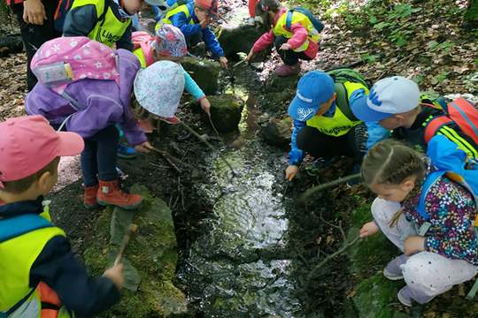 Studánky 1