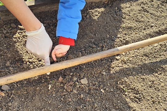 Bylinková radost v naší školce 1