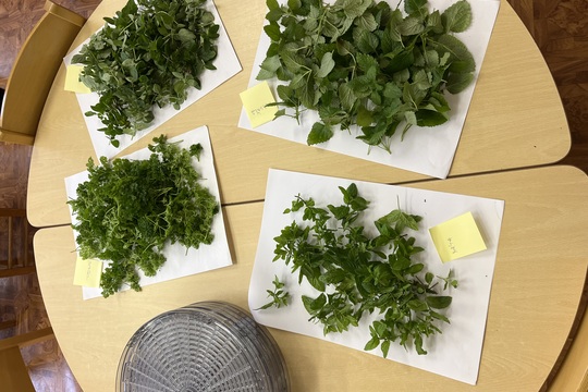 Zazimování naší školní zahrádky Zazimování naší školní zahrádky 1