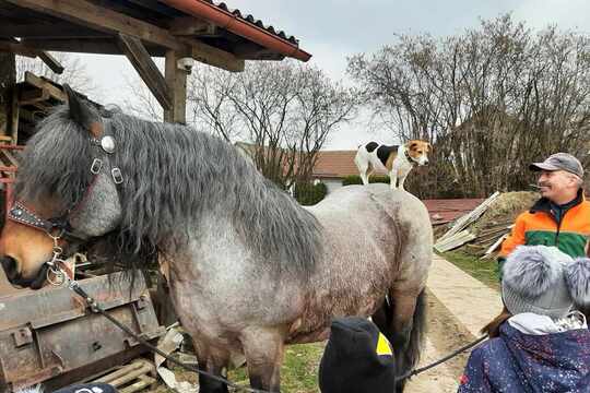 Návštěva místního farmáře 1