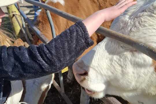 Výlet na Zlatou farmu  1