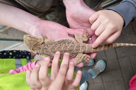 Ježečci z MŠ Soběchleby - Návštěva Bioparku v Teplicích 1