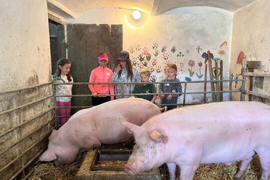 Společné projektové dny ZŠ a MŠ Bohuslavice jako cesta k praktickému vzdělávání a skutečným zkušenostem. 1