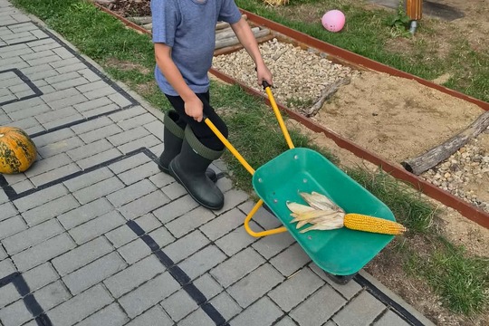 Farmářské odpoledne 1