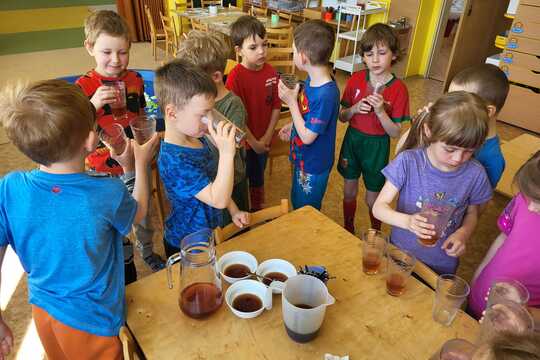 Pampeliškový med - Sluníčka 1