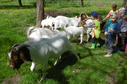 Na malinké rodinné farmě 1