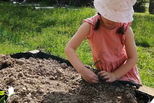 Zahrádka lesní školky Na Pasece je plná dobrot 1