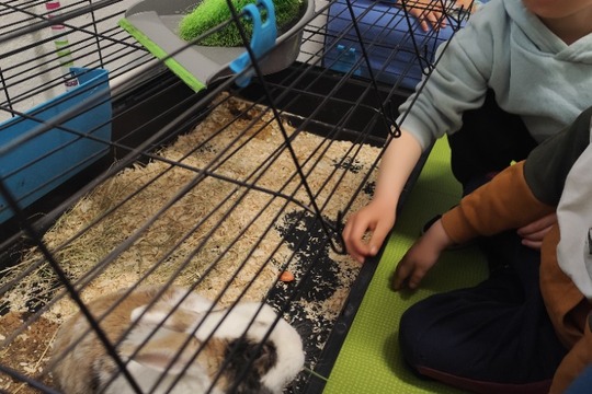 Co s velikonočním osením? 1