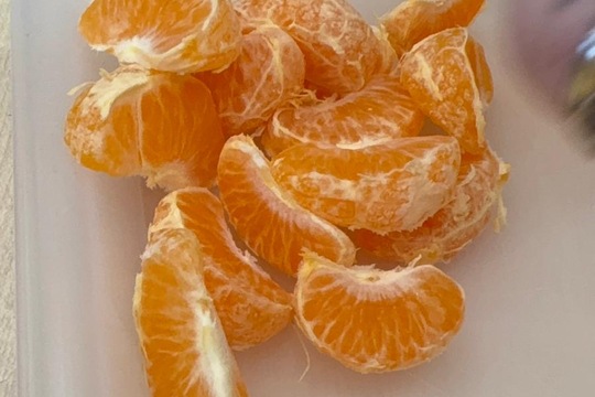 Ovoce a naše smysly  1