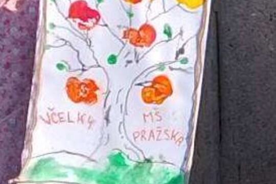 Jak se dělá mošt? Jak se dělá mošt? 1