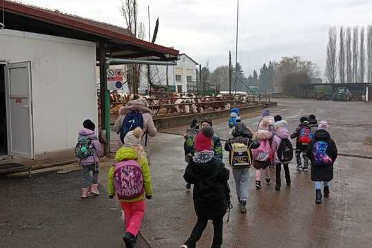 Za zvířaty na Rodinnou farmu Suchý ve Slavětíně Za zvířaty na Rodinnou farmu Suchý ve Slavětíně 1