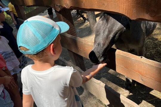 FARMAPARK U TOMA 1