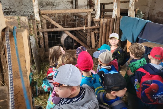Výlet na Ekofarmu - Kytičky 1