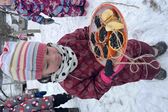 Zimní hodování: Pomerančová krmítka, která zdobí i chutnají 1