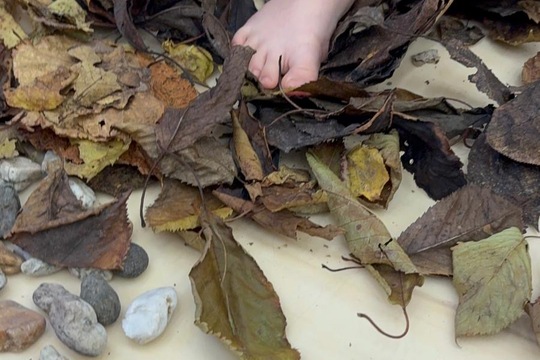 Jsme školka v pohybu Jsme školka v pohybu 1
