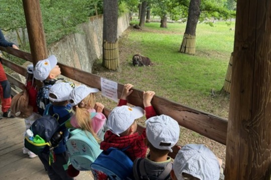 MŠ Sluníčko na výletě - Zoopark Chomutov 1