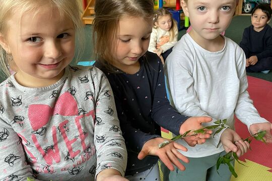 Naše housenky - budeme mít motýlky 1