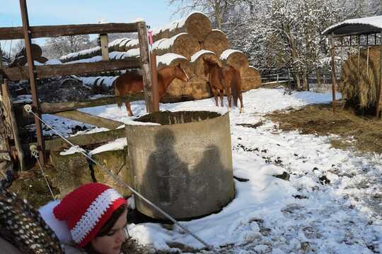 Návštěva farmy "Pod sedlem". 1