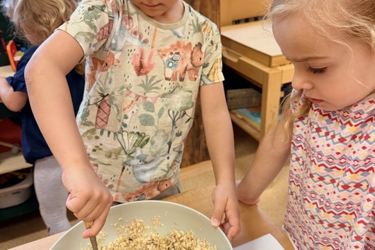 Granola Granola 1