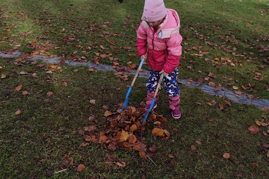 Připravujeme naši zahradu k odpočinku 1