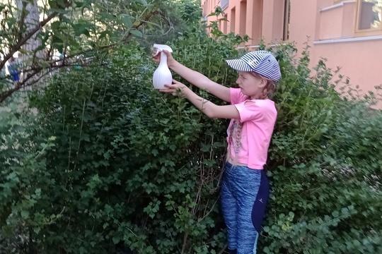 Na zahradě máme prostřeno pro včely, mšice stříkáme levandulí 1