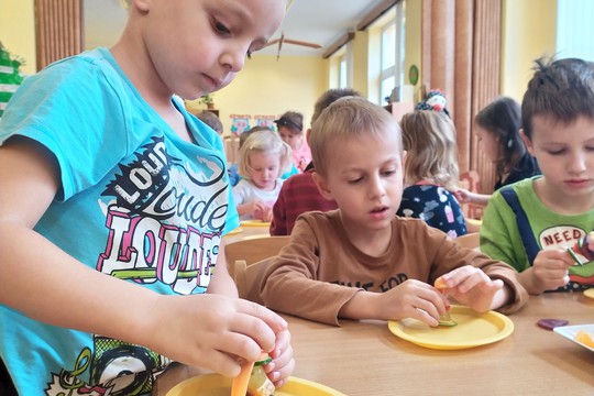 Program Zdravá 5 1