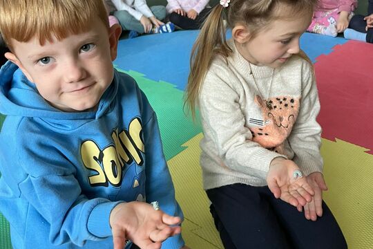 Naše housenky - budeme mít motýlky 1