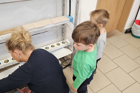 Berušky z MŠ Kollárova sází bylinky do hydroponické zahrádky 1