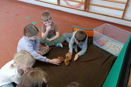 Od vajíčka ke kuřátku 1