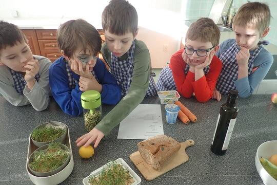 Příprava mrkvičkové pomazánky  1